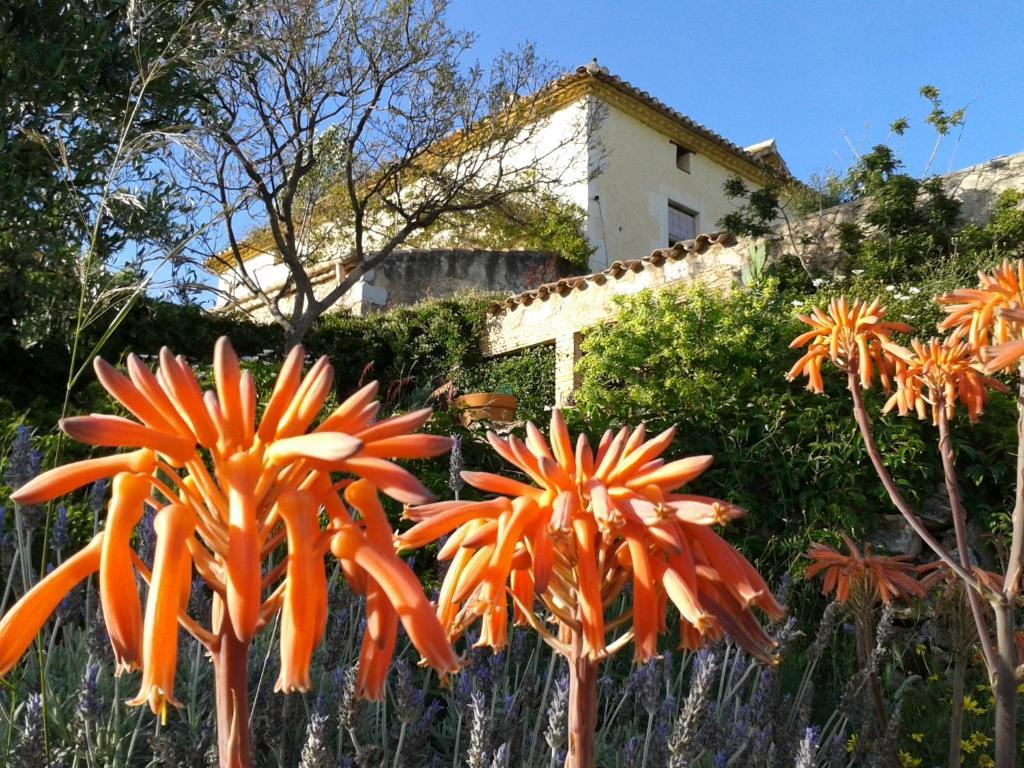 Mas Castell De Gimenelles Hotel Sant Jaume dels Domenys ภายนอก รูปภาพ