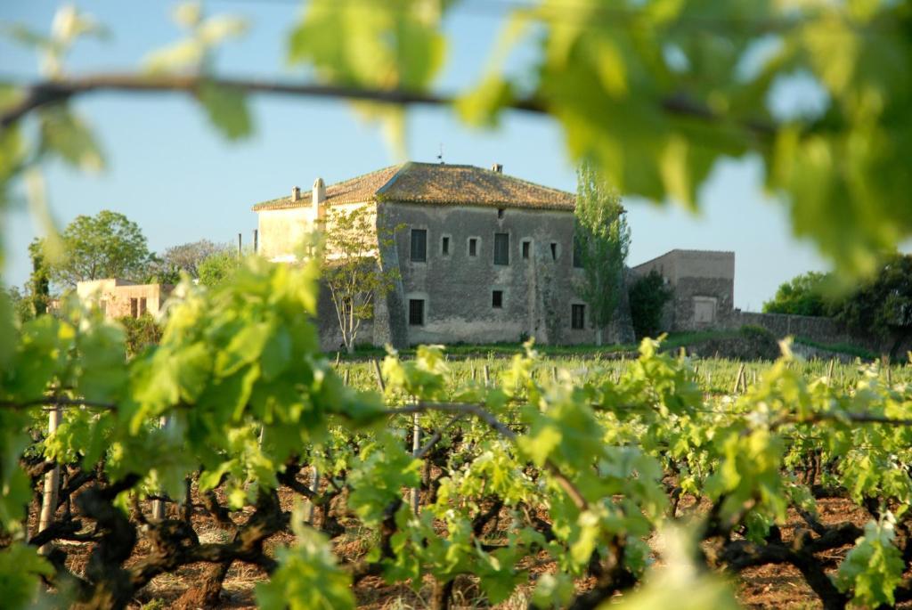 Mas Castell De Gimenelles Hotel Sant Jaume dels Domenys ภายนอก รูปภาพ